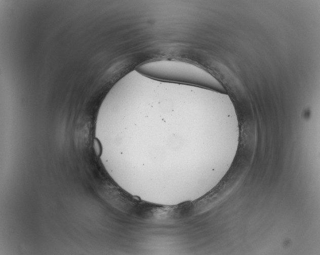 X0000116370092201001131756