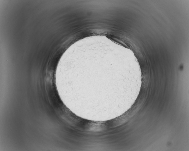 X0000116370093201001131756