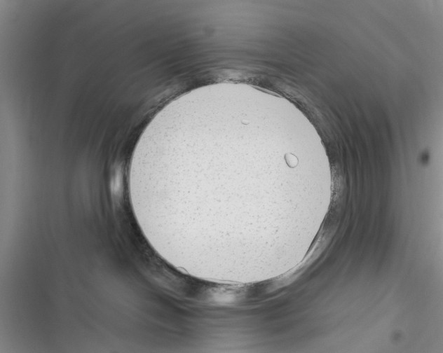 X0000116370094201001131756