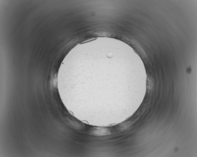 X0000116370095201001131756