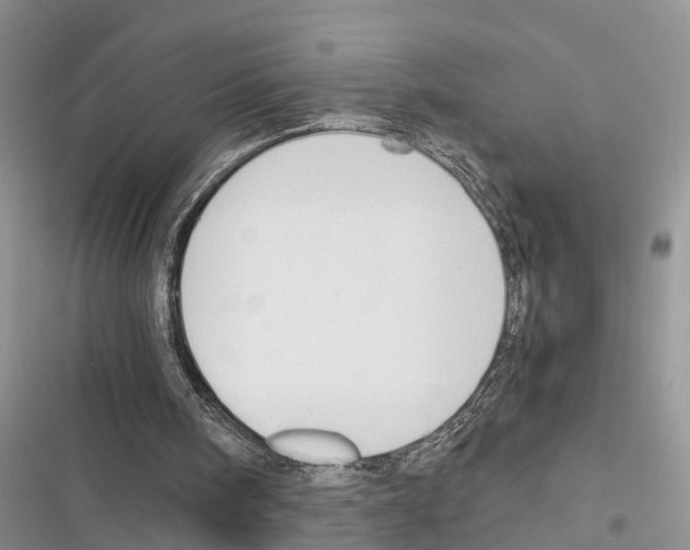 X0000116370098201001131756