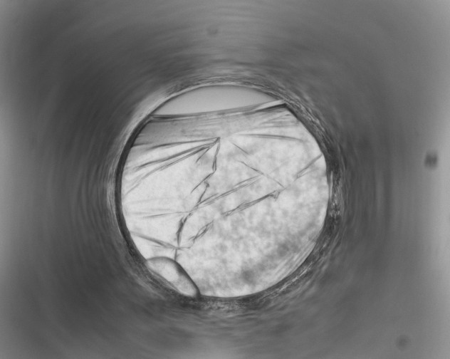 X0000116370099201001131756