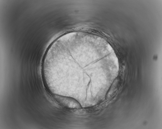 X0000116370100201001131756