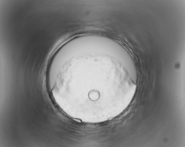 X0000116370101201001131756