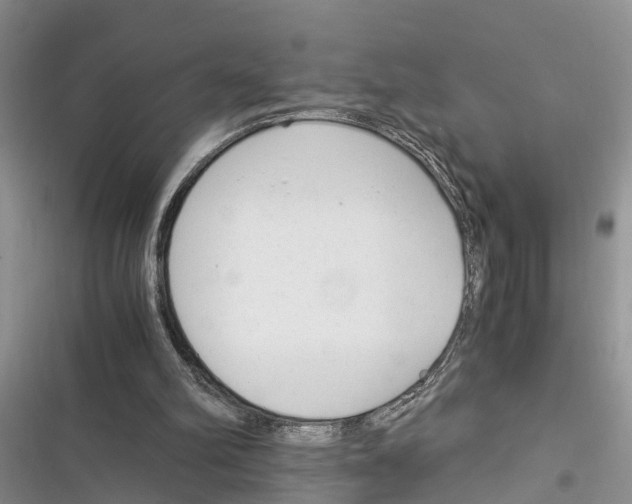 X0000116370102201001131756