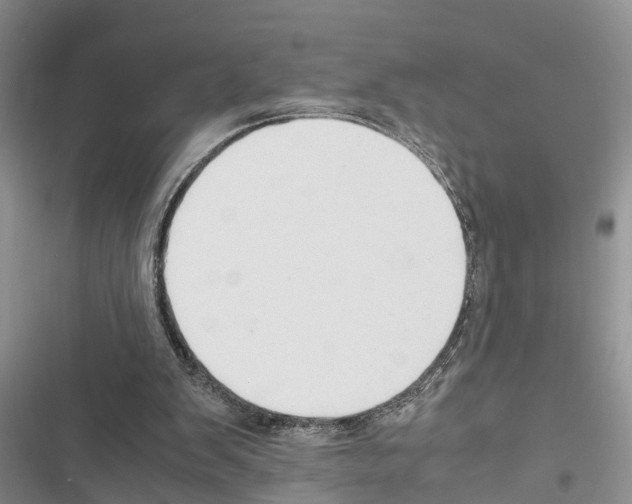 X0000116370103201001131756