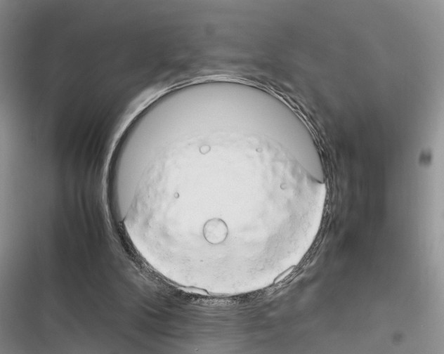 X0000116370104201001131756