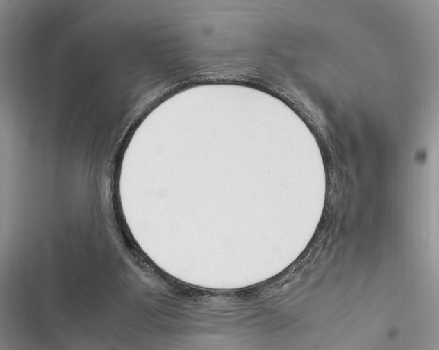 X0000116370107201001131756