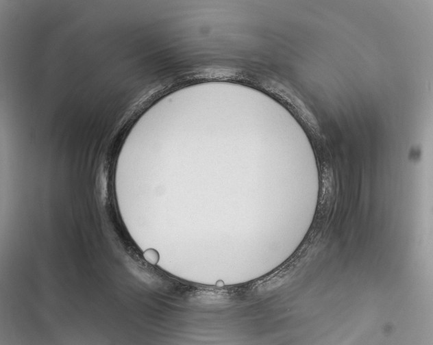 X0000116370110201001131756