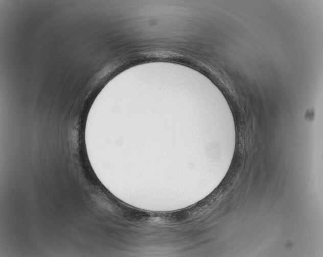 X0000116370111201001131756