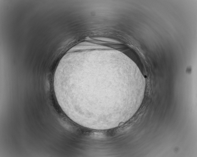 X0000116370114201001131756