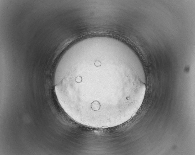 X0000116370116201001131756