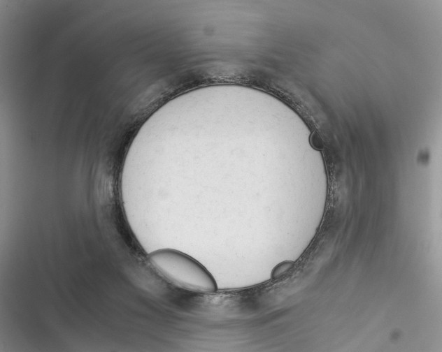 X0000116370117201001131756