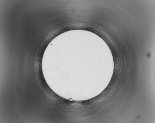 X0000116370119201001131755