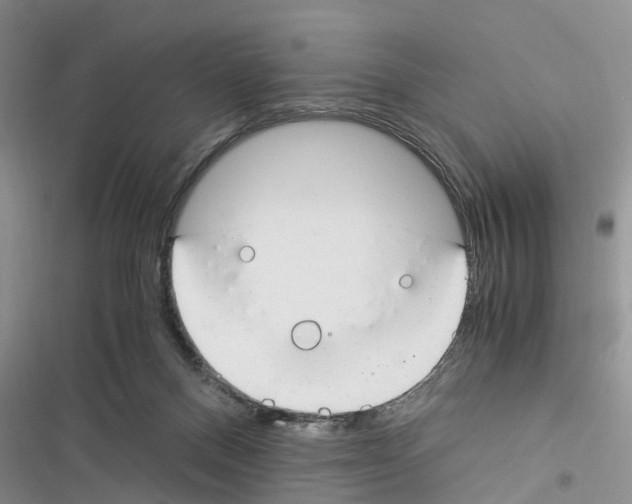 X0000116370120201001131755