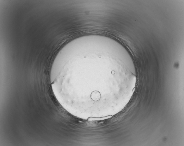 X0000116370121201001131755