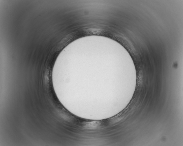 X0000116370122201001131755