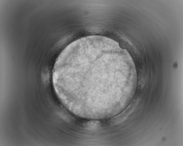 X0000116370124201001131755