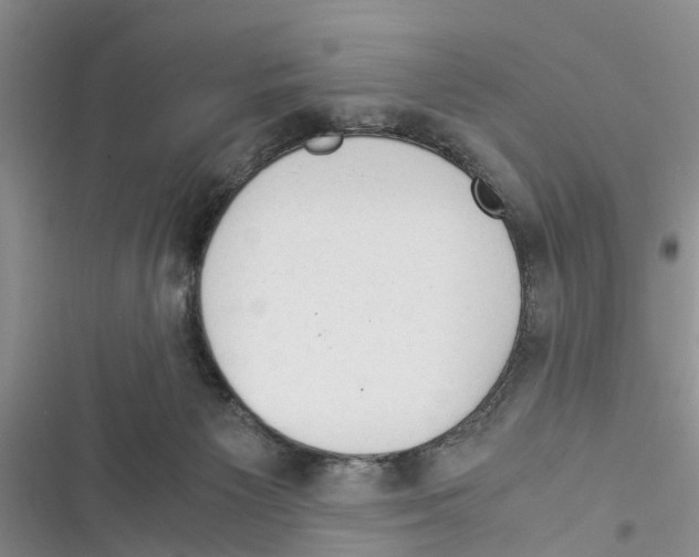 X0000116370125201001131755