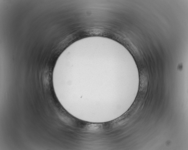 X0000116370126201001131755