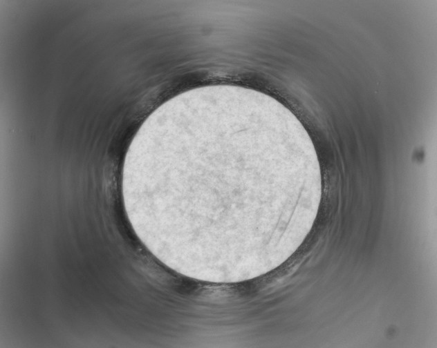 X0000116370127201001131755