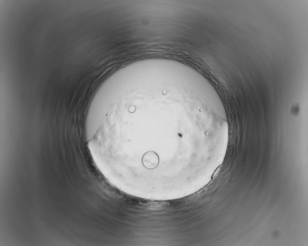 X0000116370128201001131755