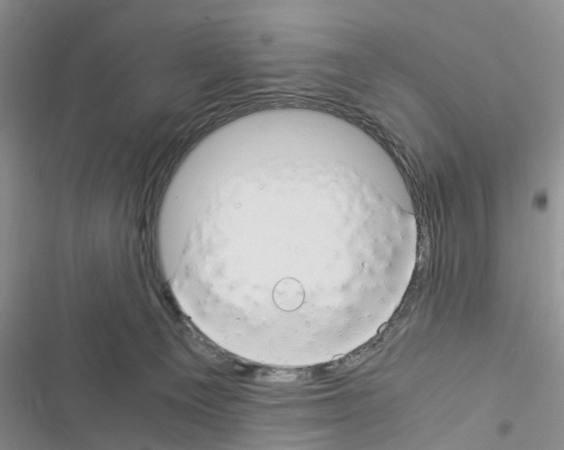 X0000116370129201001131755