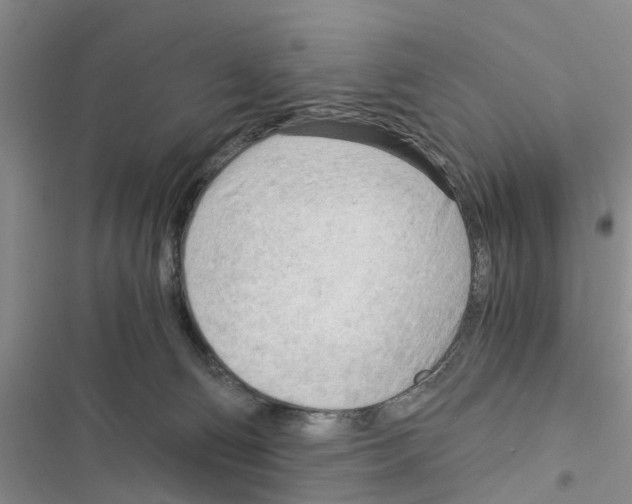 X0000116370130201001131755