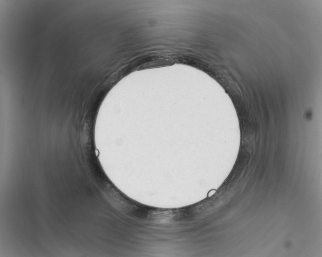 X0000116370131201001131755