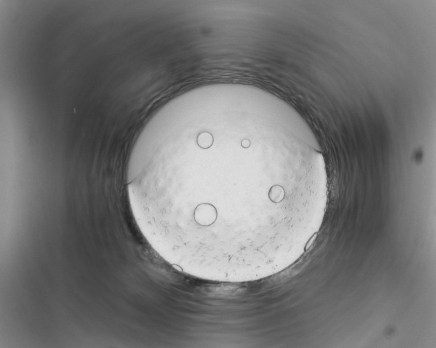 X0000116370132201001131755