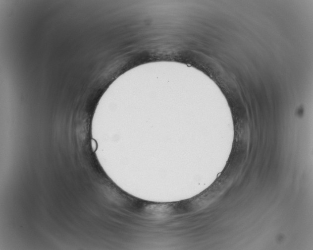 X0000116370133201001131755