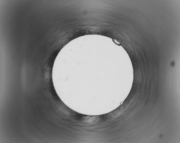 X0000116370135201001131755