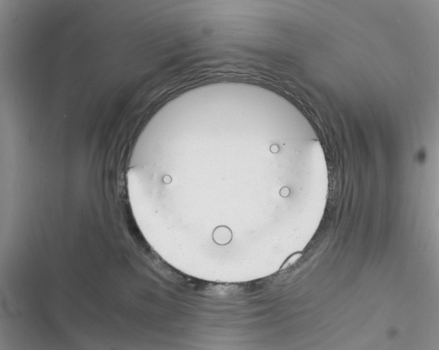 X0000116370137201001131755