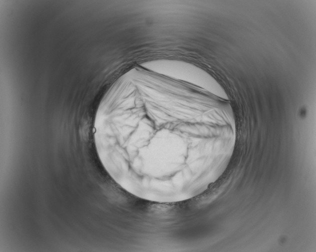 X0000116370139201001131755