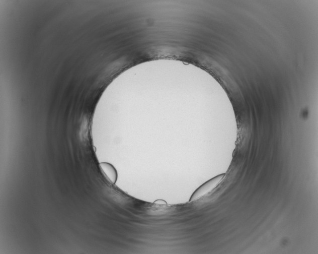 X0000116370142201001131755