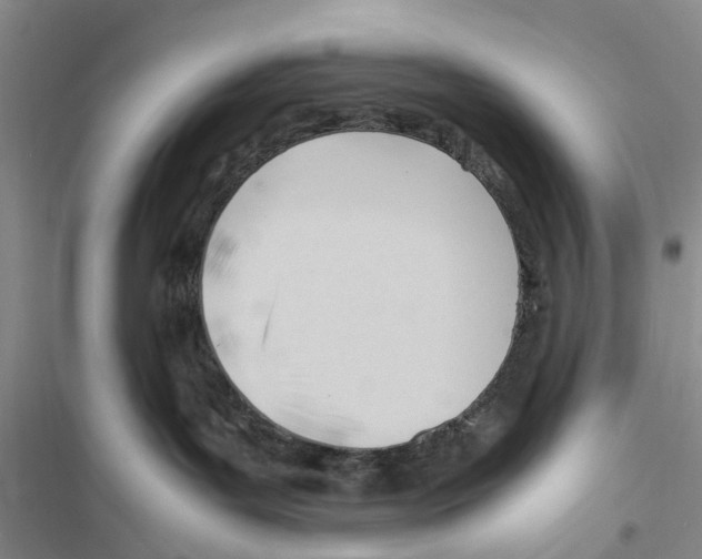 X0000116370143201001131755