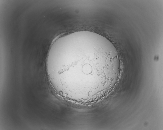 X0000116370144201001131755