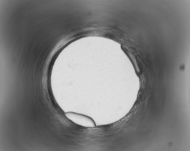 X0000116370150201001131755