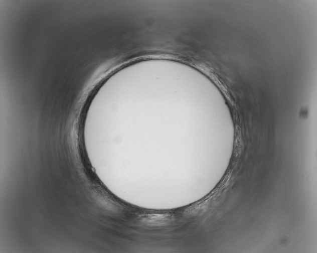 X0000116370151201001131755