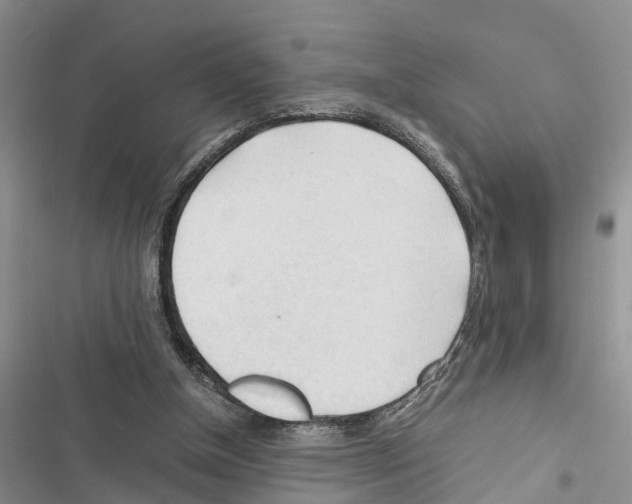 X0000116370154201001131755