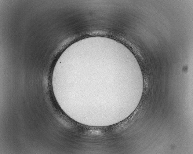 X0000116370159201001131755