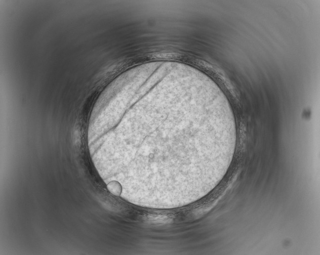 X0000116370161201001131755