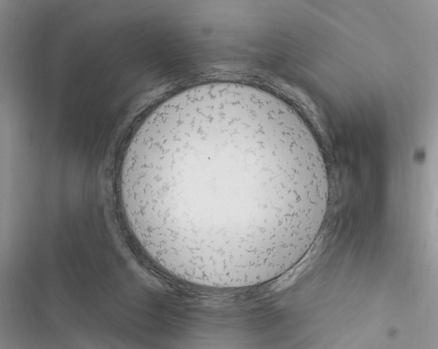 X0000116370162201001131755