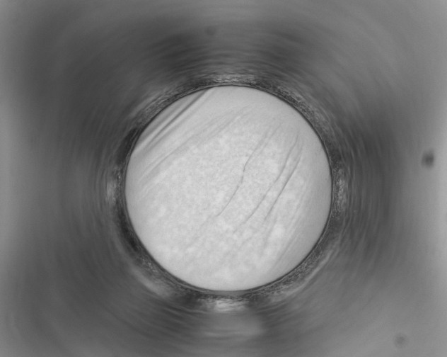 X0000116370165201001131755