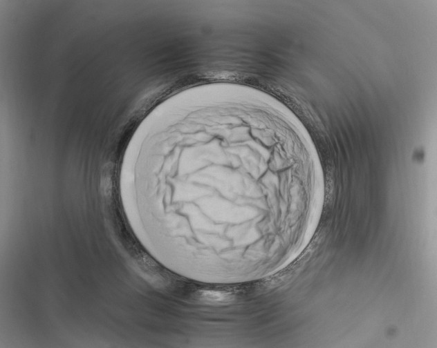 X0000116370167201001131755