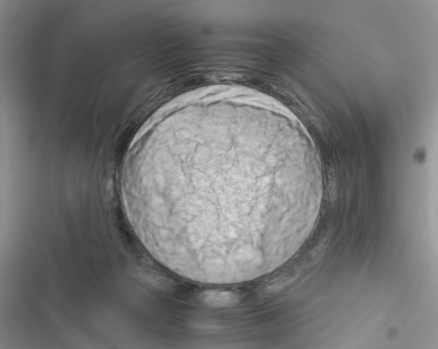 X0000116370169201001131755