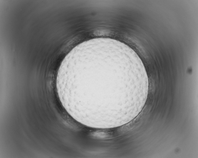 X0000116370171201001131755