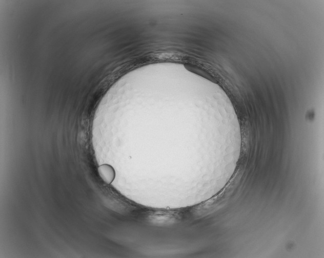 X0000116370175201001131755