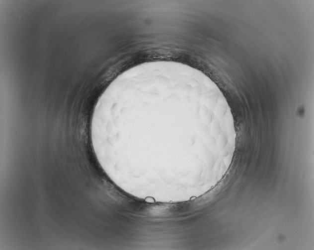 X0000116370178201001131755