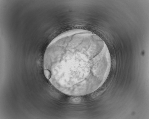 X0000116370181201001131755